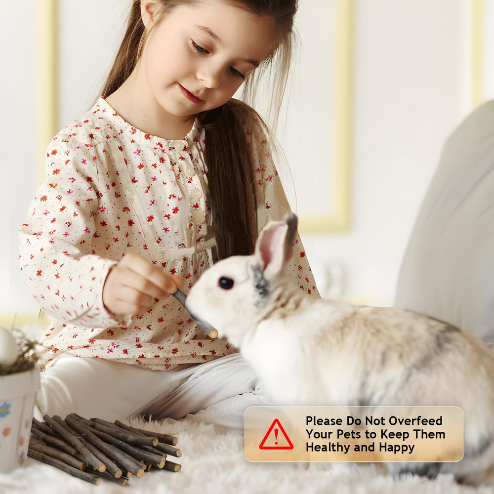 Sadaunbe Apple Sticks parrot chew toy display for beak exercise.