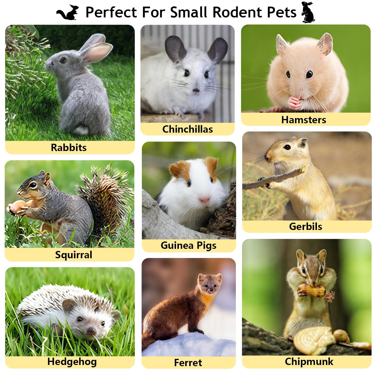 Sadaunbe Apple Sticks rabbit teeth chew close-up with natural flavor and bite-sized fun.