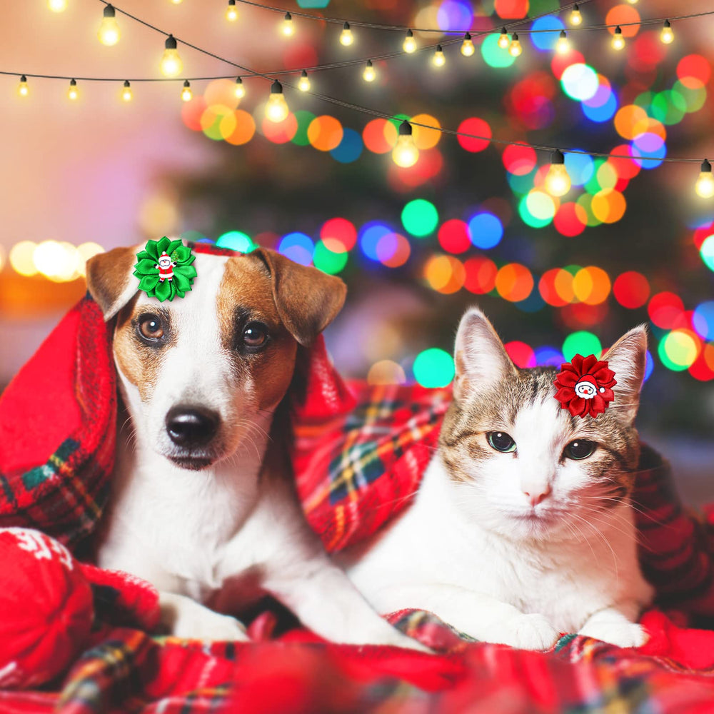 Sadnyy multi-pack bows suit festive events like holidays and celebrations.