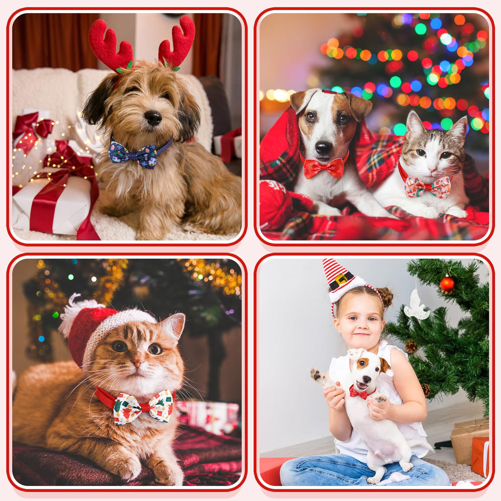 Sadnyy adjustable buckle ensures quick on/off during grooming or photos.