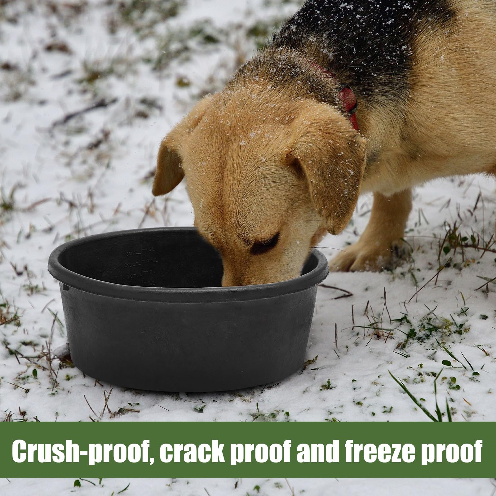 Sadnyy rubber feed pan odor and storage tips indicate easier maintenance.