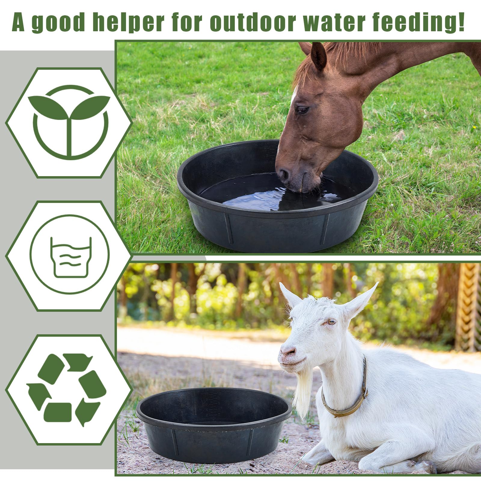 Sadnyy temperature-resistant animal feeder for year-round use