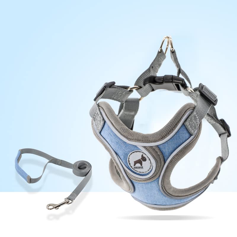 SAEGYPET 5 ft leash in blue for reliable control.