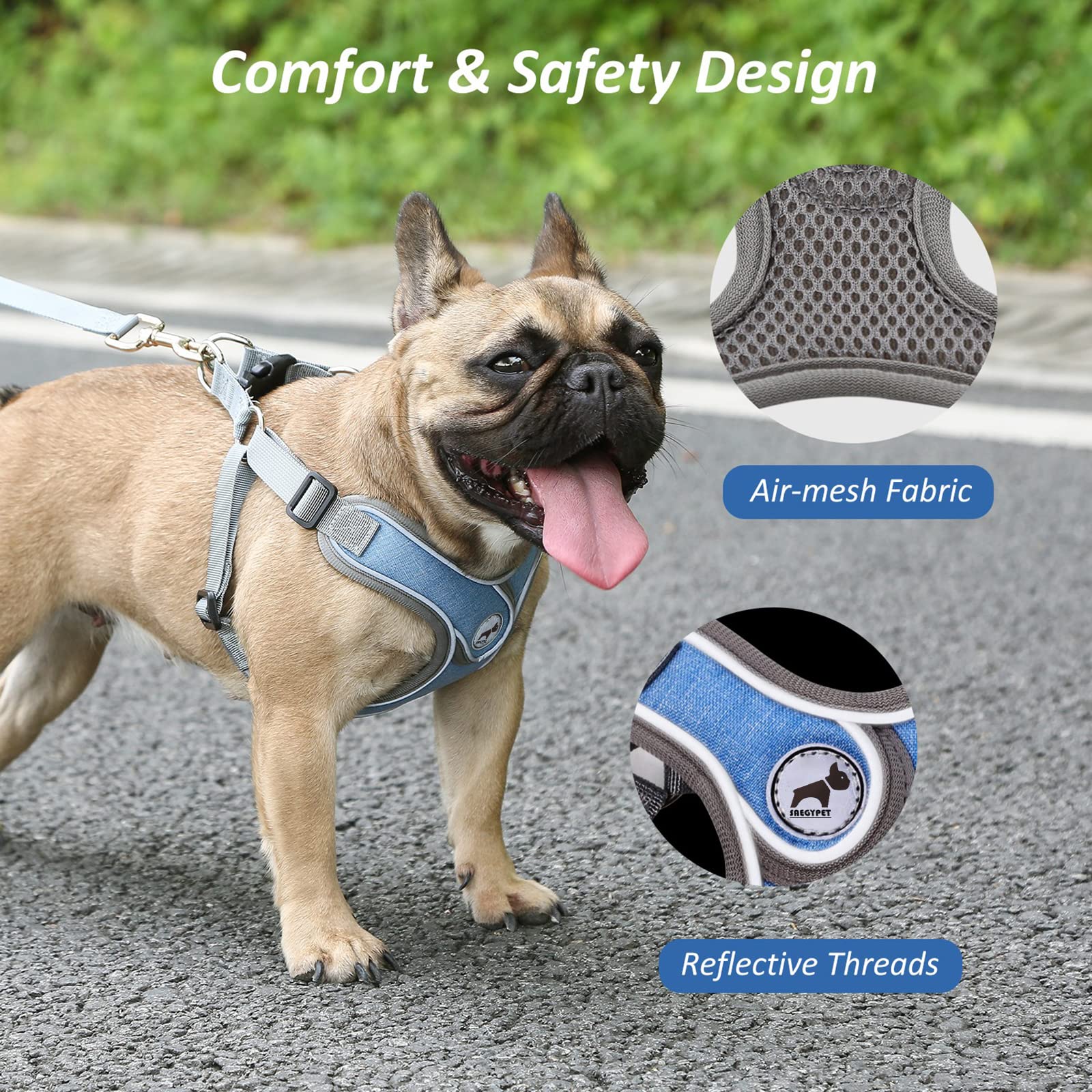 SAEGYPET reflective straps improve night visibility during walks.