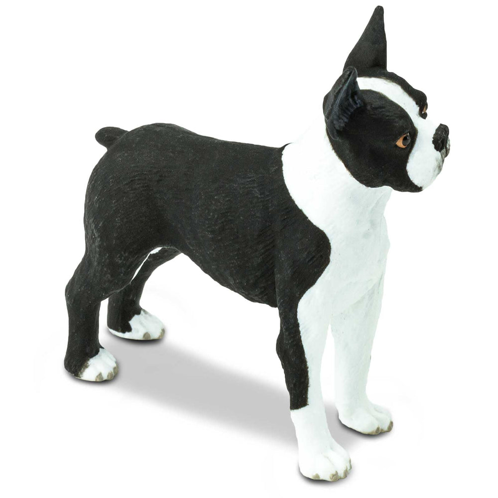 Safari Ltd. Boston Terrier Figurine mimics white with black accents for realistic coloration.