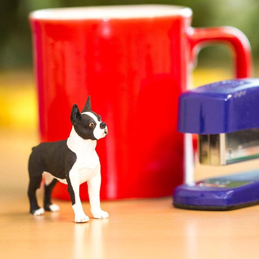 Safari Ltd. Boston Terrier Figurine hand-painted finish enhances collectible display and educational exploration.