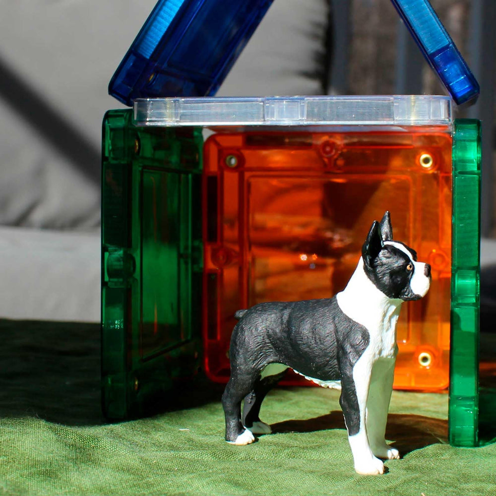 Safari Ltd. Boston Terrier Figurine collectible-pack option suitable for gifting and classroom fun.