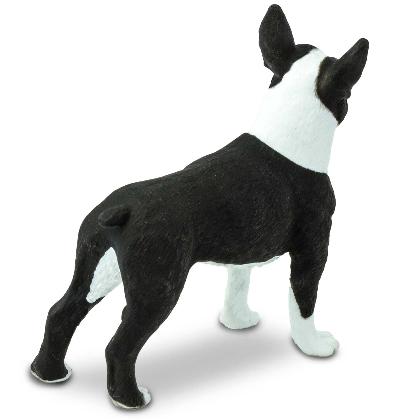 Safari Ltd. Boston Terrier Figurine reversed-pose for dynamic display and storytelling.