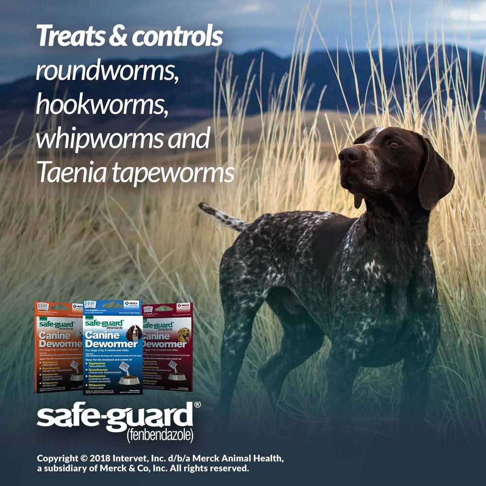 SAFE-GUARD canine dewormer daily-dose packets simplify a 3-day treatment plan.