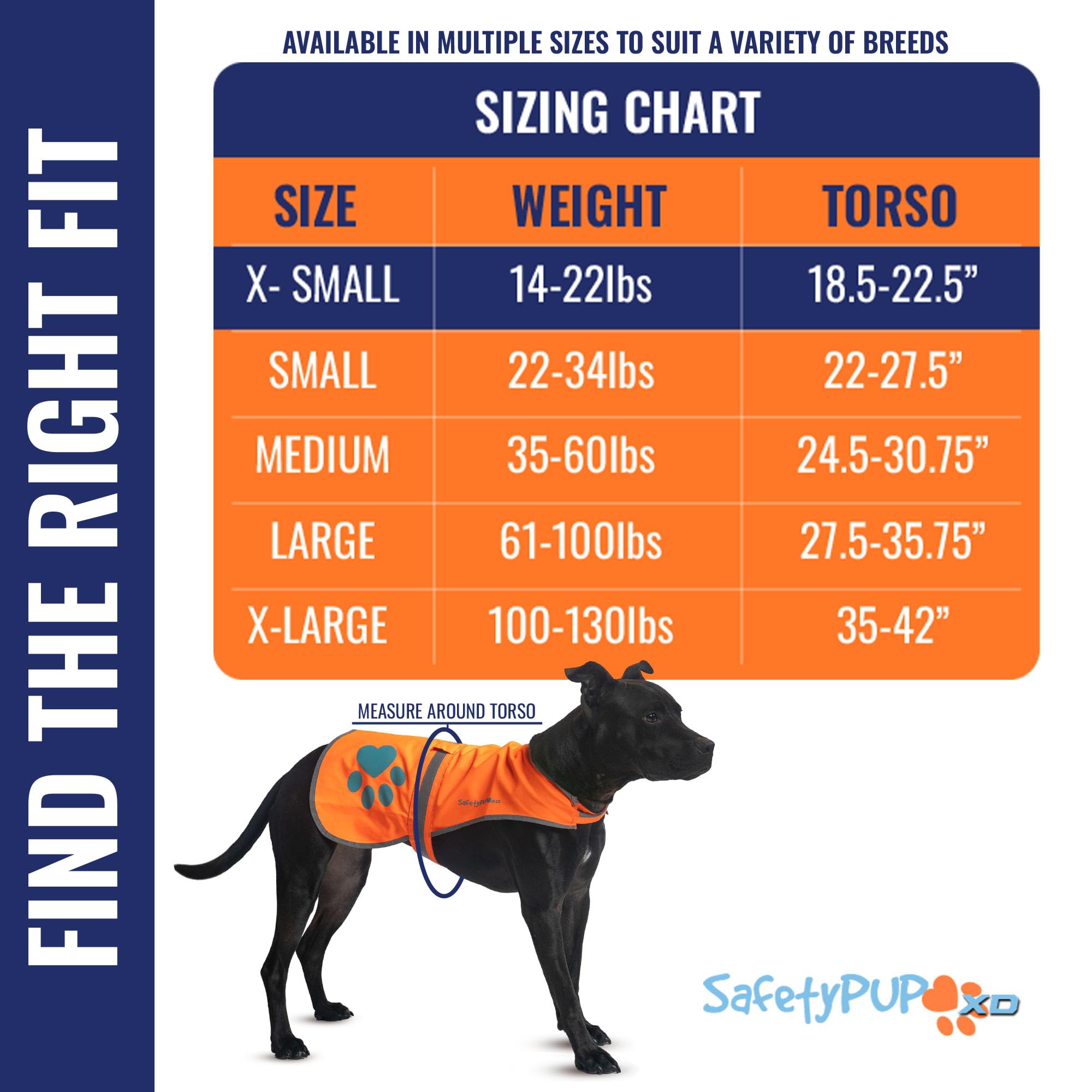 SafetyPUP XD blaze orange vest on dog boosting visibility for motorists from afar