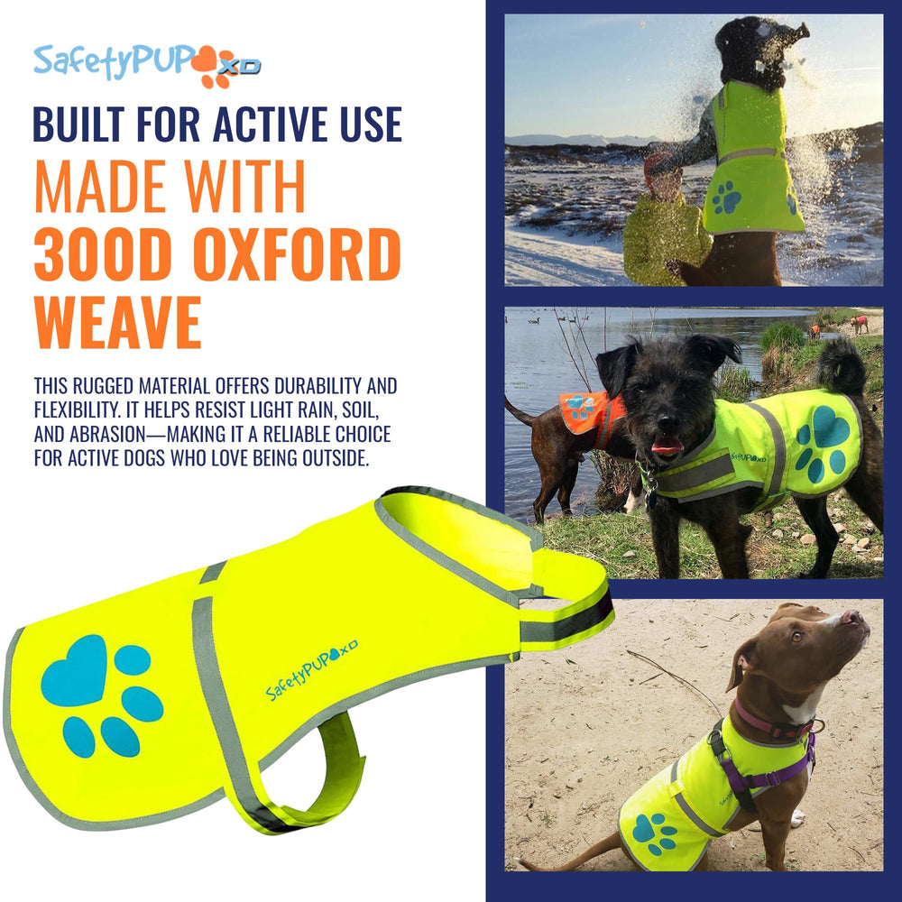 SafetyPUP XD utility strap supports light accessories on walks