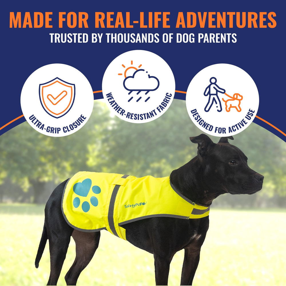 SafetyPUP XD reflective strip highlights visibility in low light for safer routes