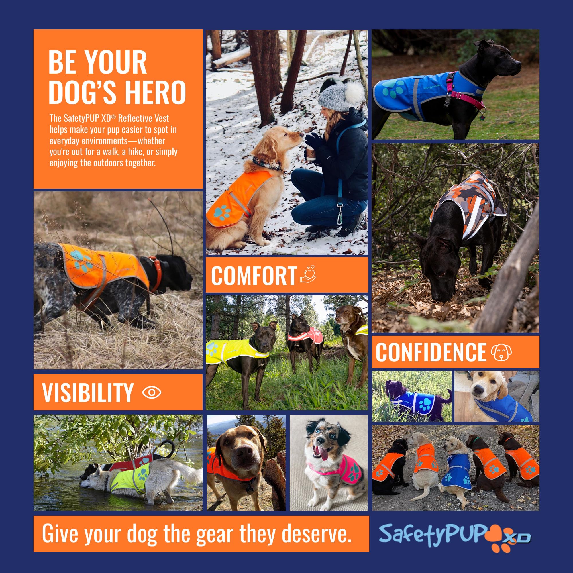 SafetyPUP XD reinforced stitching image conveys lasting durability during walks.