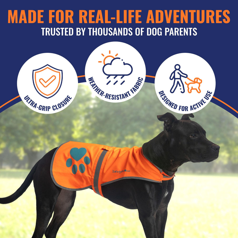 SafetyPUP XD harness-compatible vest designed to sit smoothly under a harness