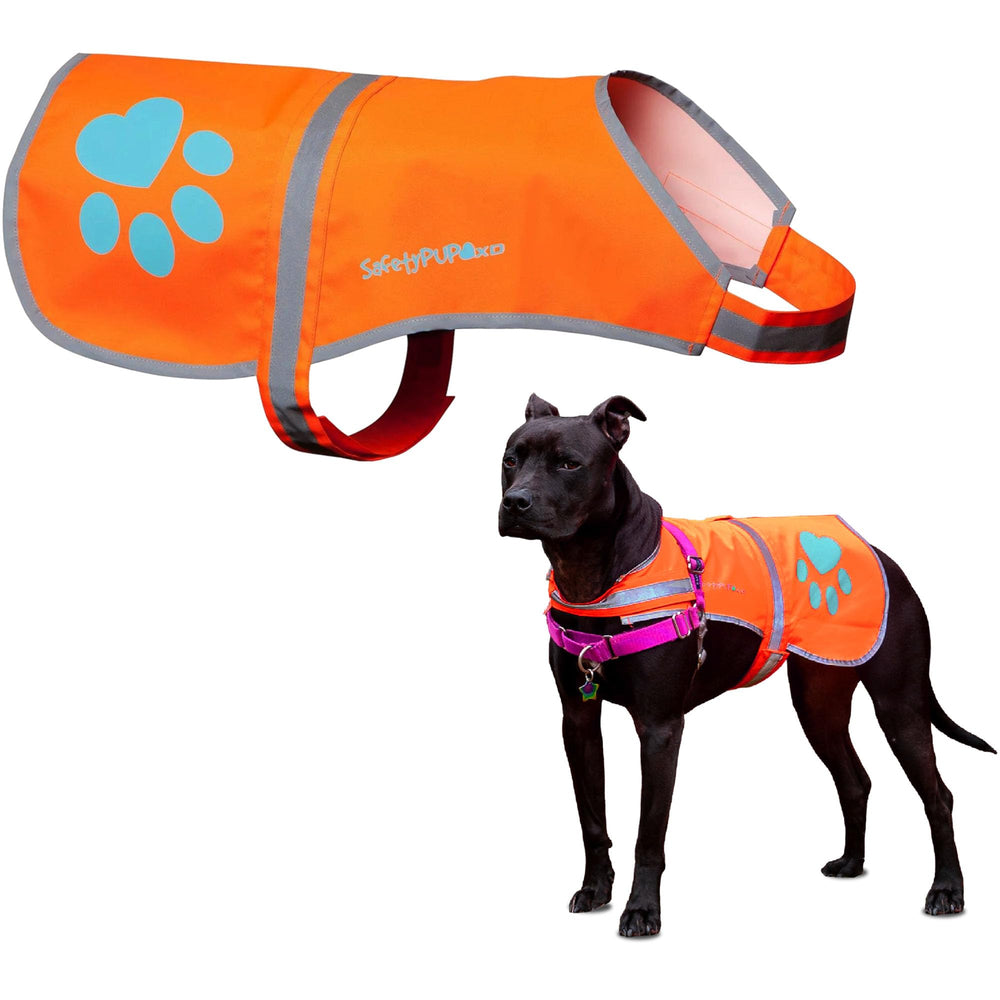 SafetyPUP XD reflective dog vest front view showing high-visibility design for safer walks