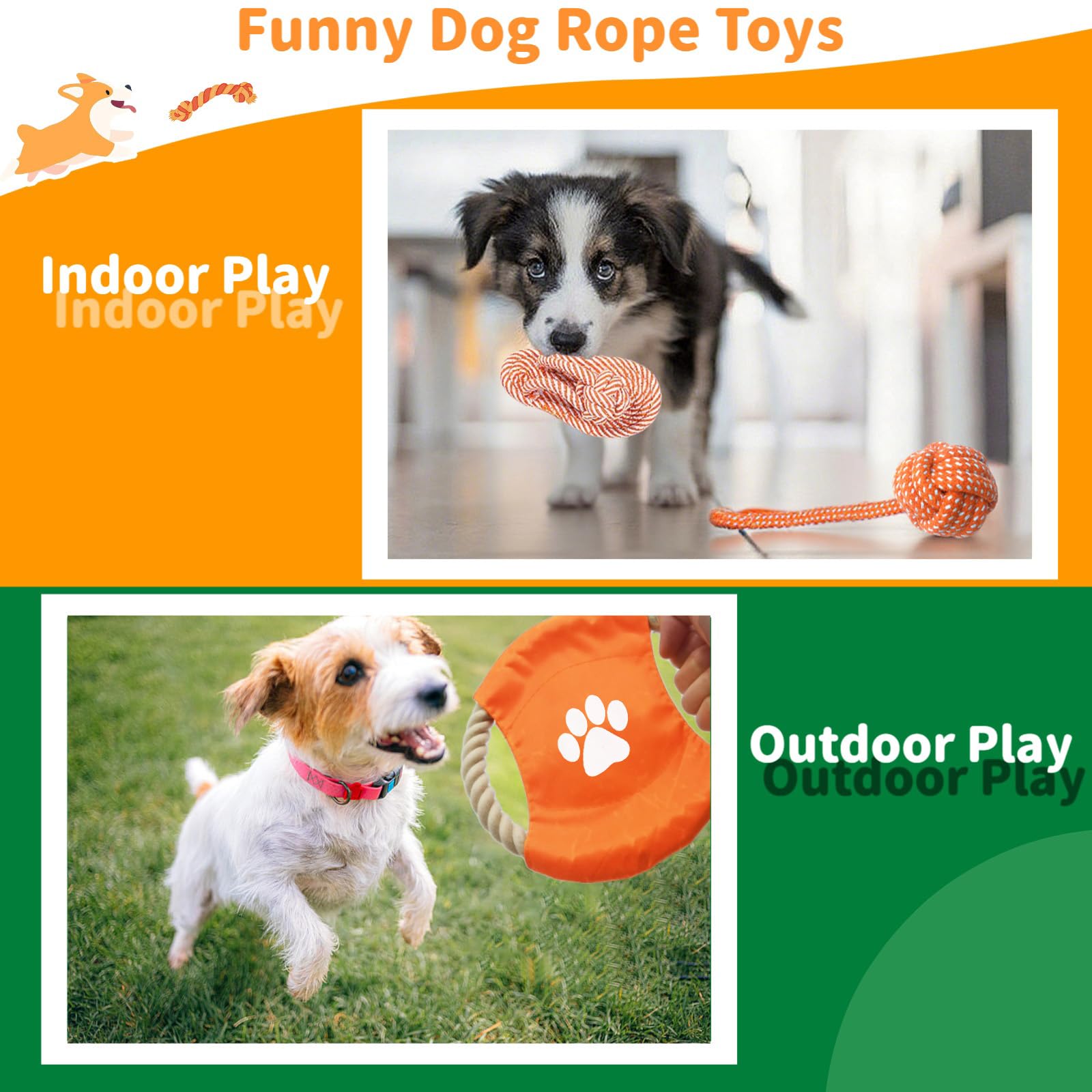 Sagildoq outdoor flyer enables fetch and outdoor exercise