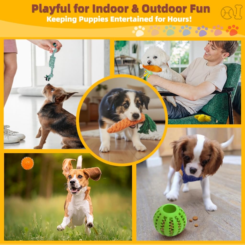 Sagildoq Puppy Teething Toys 15 Pack — a thoughtful gift for small dogs and new puppies