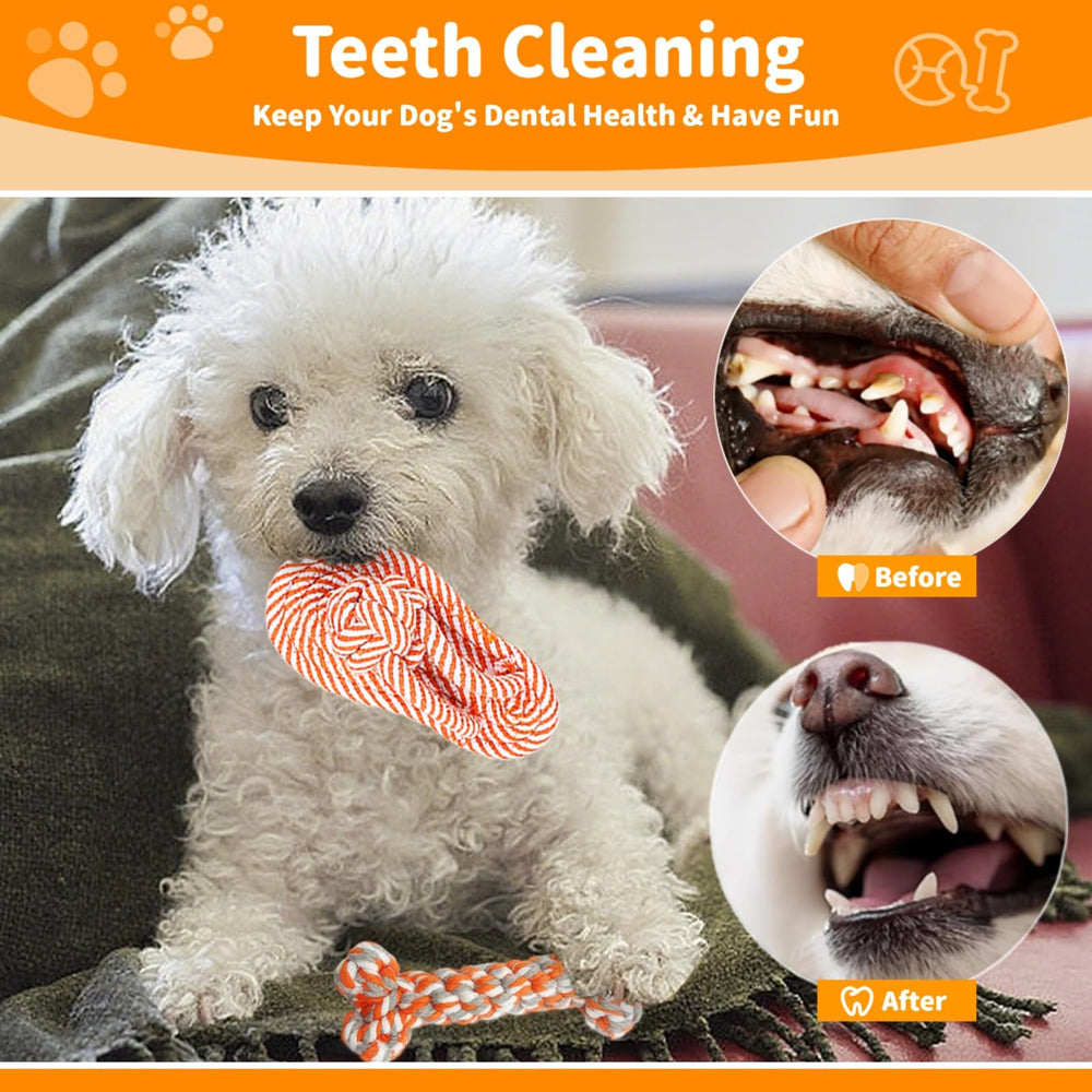 Sagildoq rope toy slipper encourages playful exploration and supervised chewing