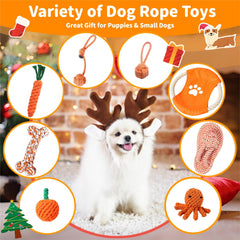 Sagildoq tug toy for small dogs promotes cooperative play and training