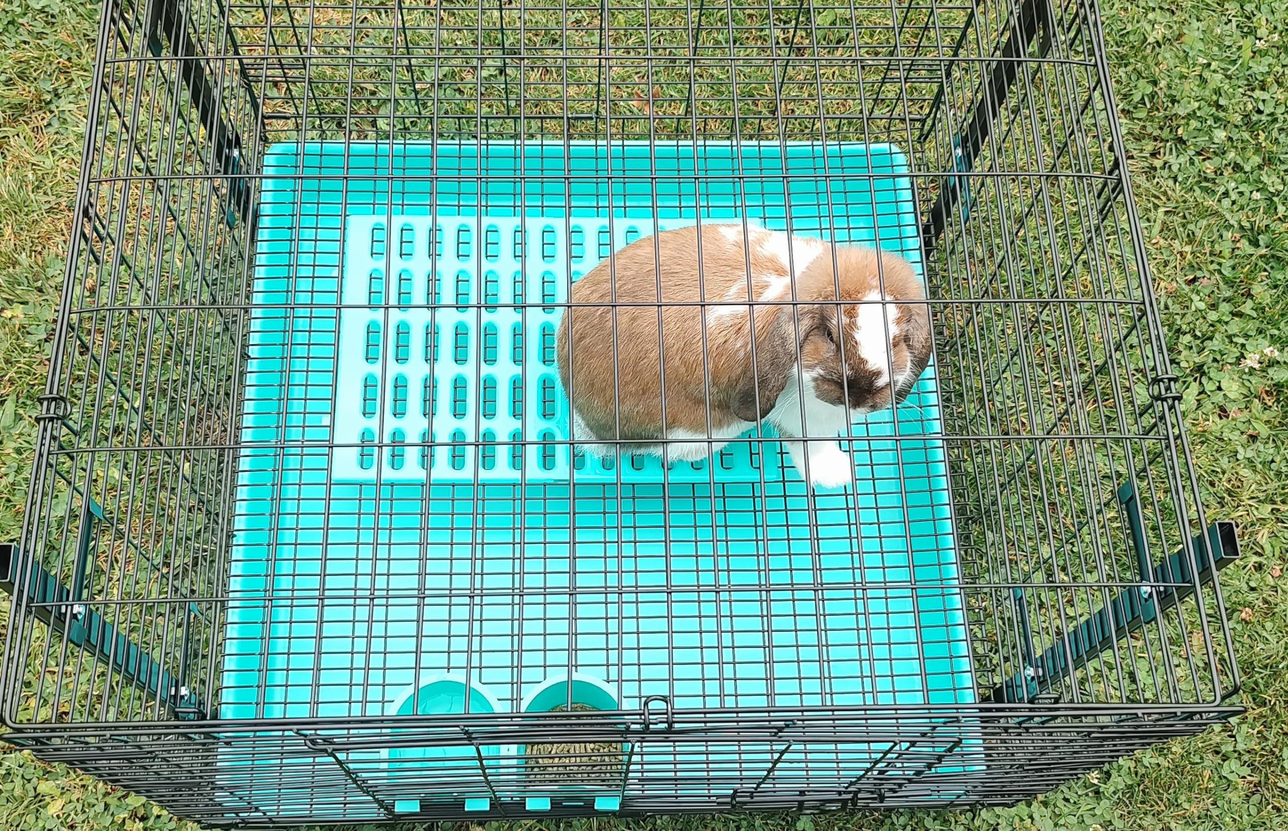 Saguaro Acres resting mat blue on cage floor highlights durability.