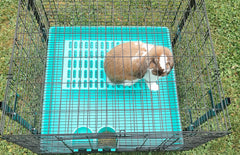 Saguaro Acres resting mat blue on cage floor highlights durability.
