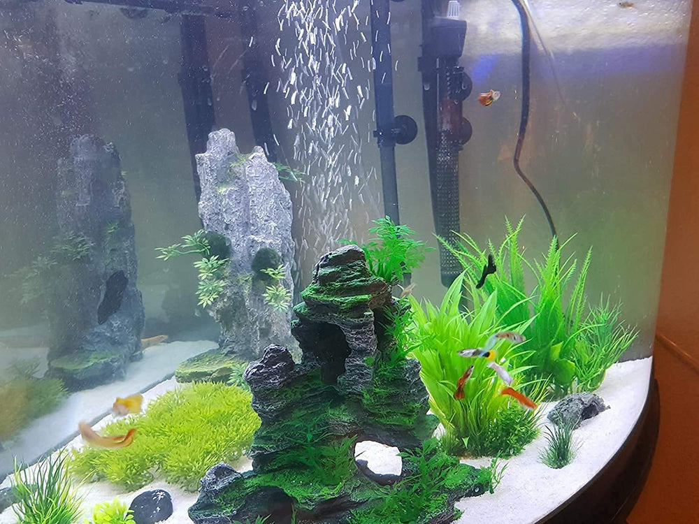 Saim amano-shrimp-hiding-rock-cave provides a safe retreat for tiny shrimp