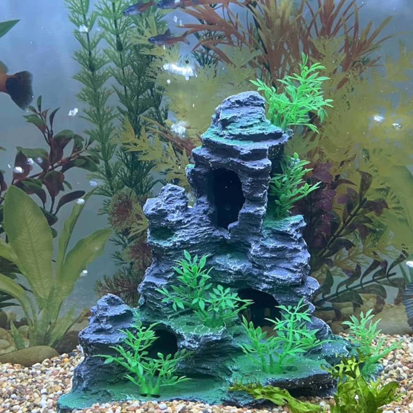 Saim betta-friendly rock cave decor creates inviting spaces for exploration