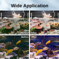 SainSmart XpertMatic aids pond and pool water clarity