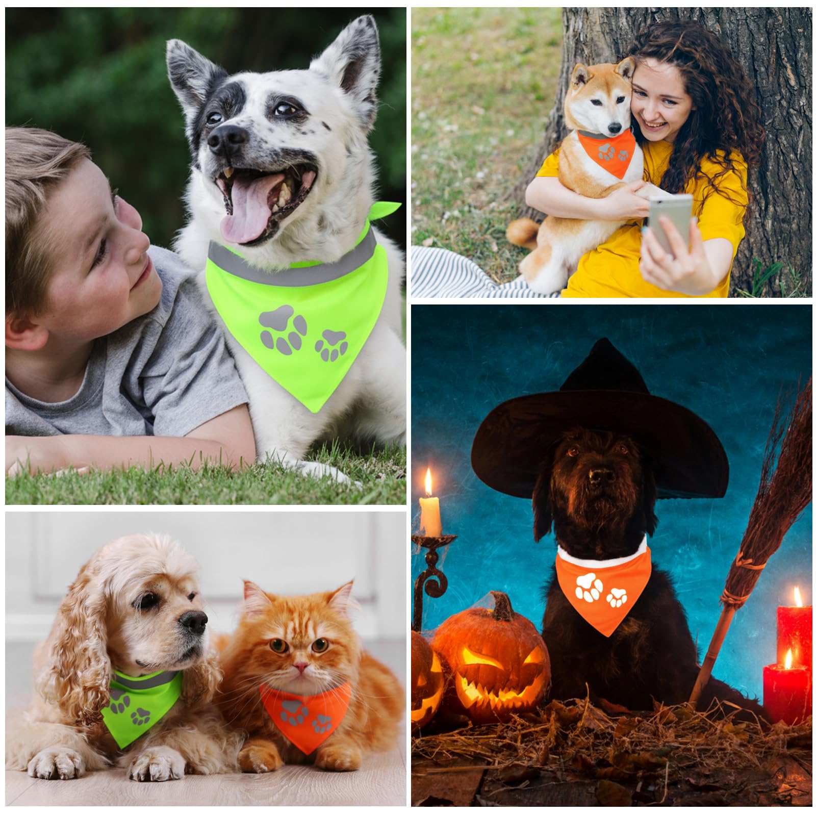 Saintrygo dog bandana worn on a night walk shows high visibility and safety
