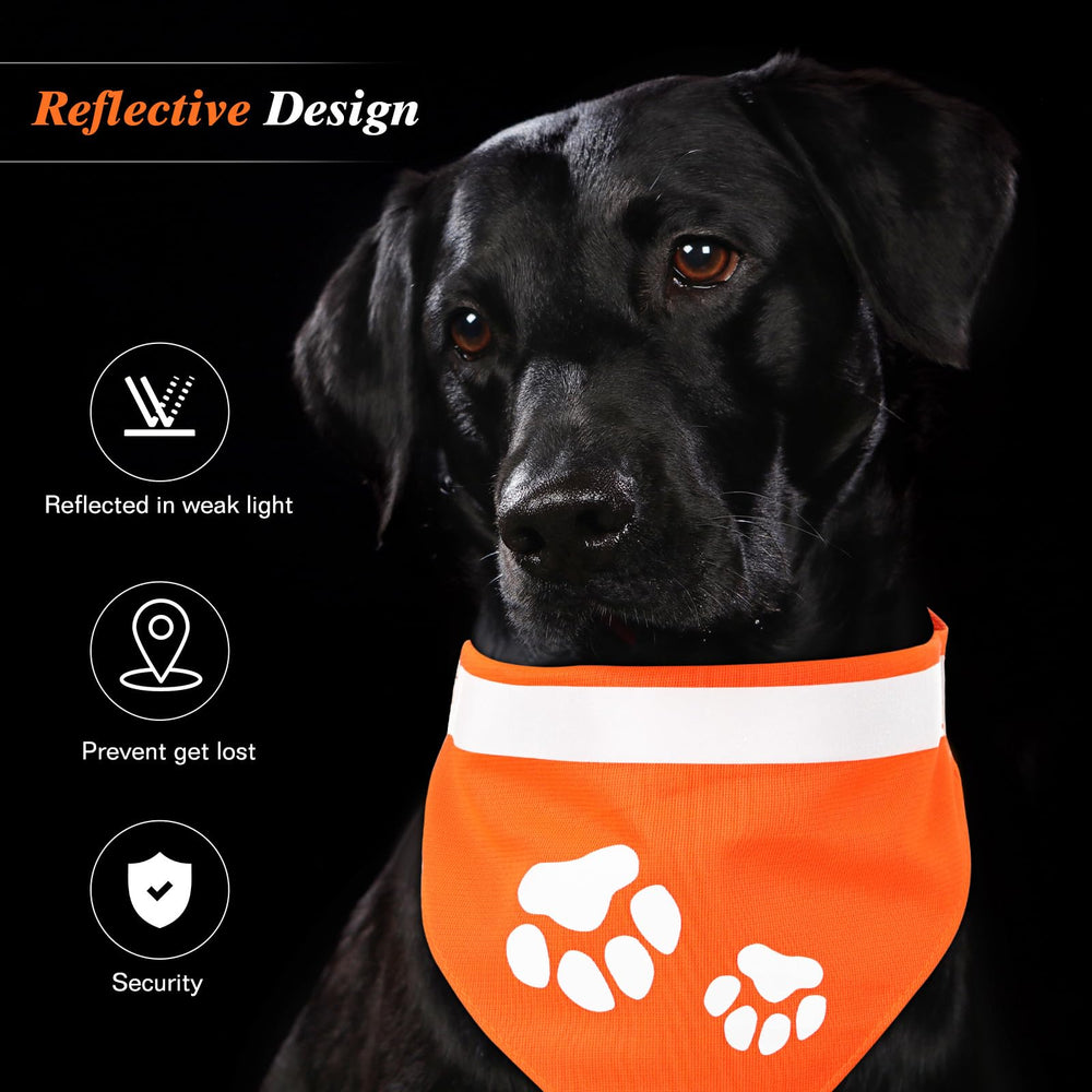 Saintrygo dog bandana safety visibility highlighted during nighttime outdoor strolls