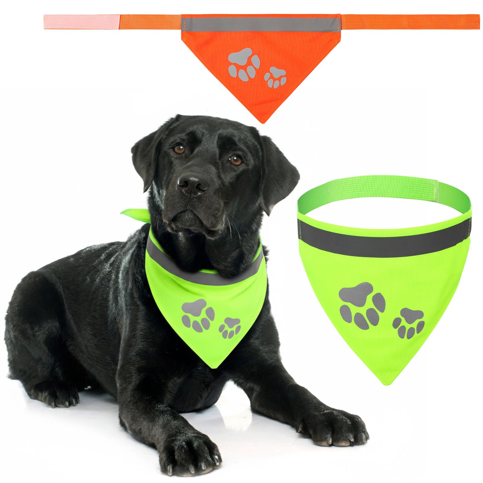 Saintrygo dog bandana yellow worn on a dog for daytime activity and visibility