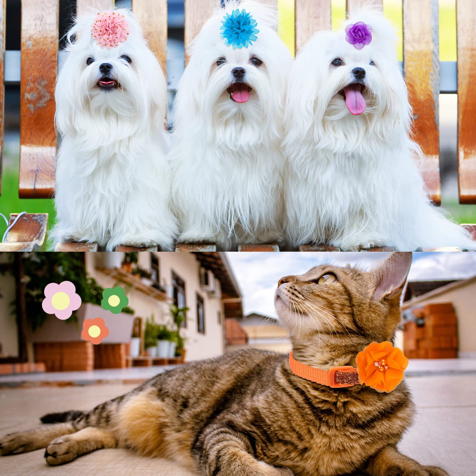 Saintrygo dog collar flowers colorful-collection helps mix-and-match outfits