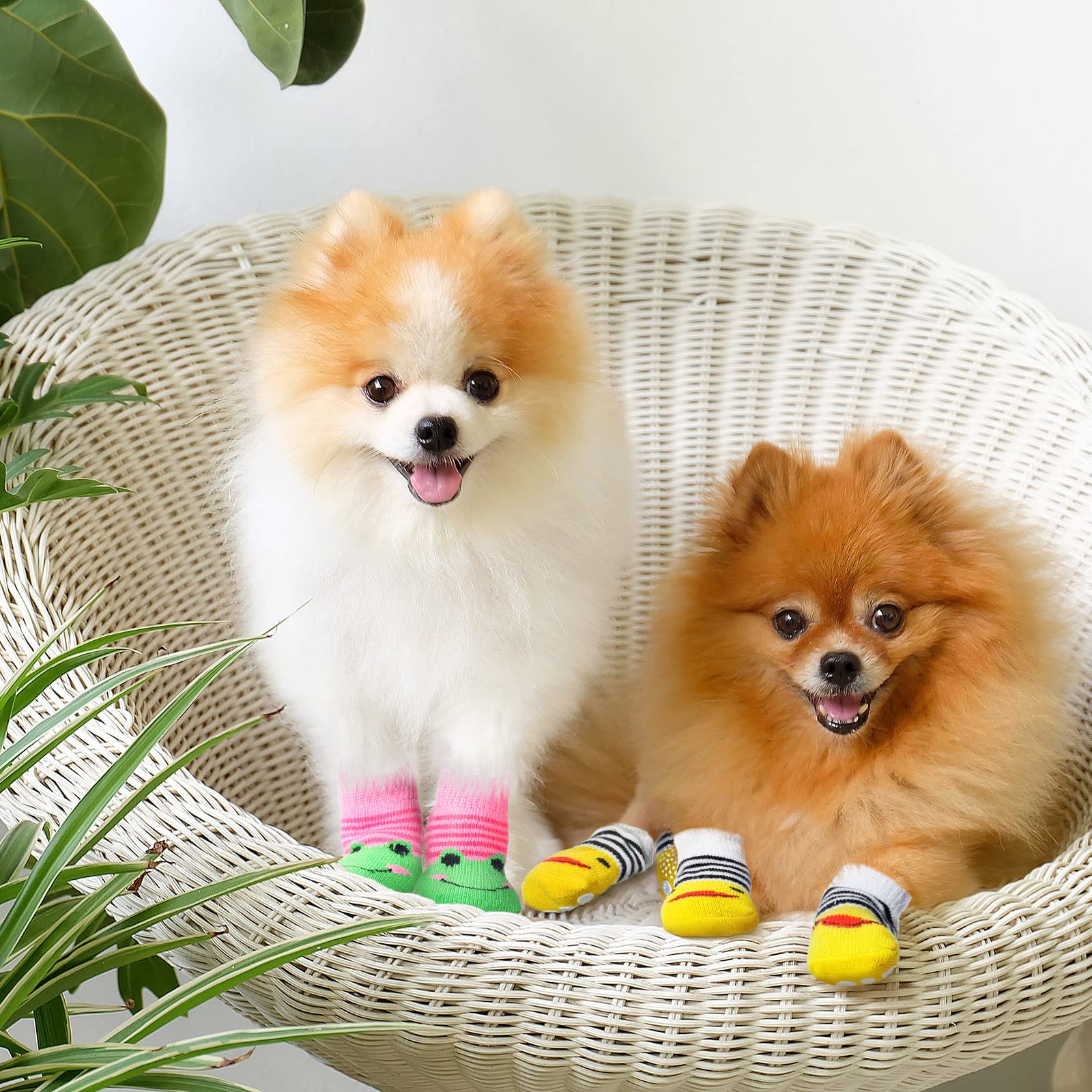 Saintrygo dog socks designed for indoor use on hardwood floors.