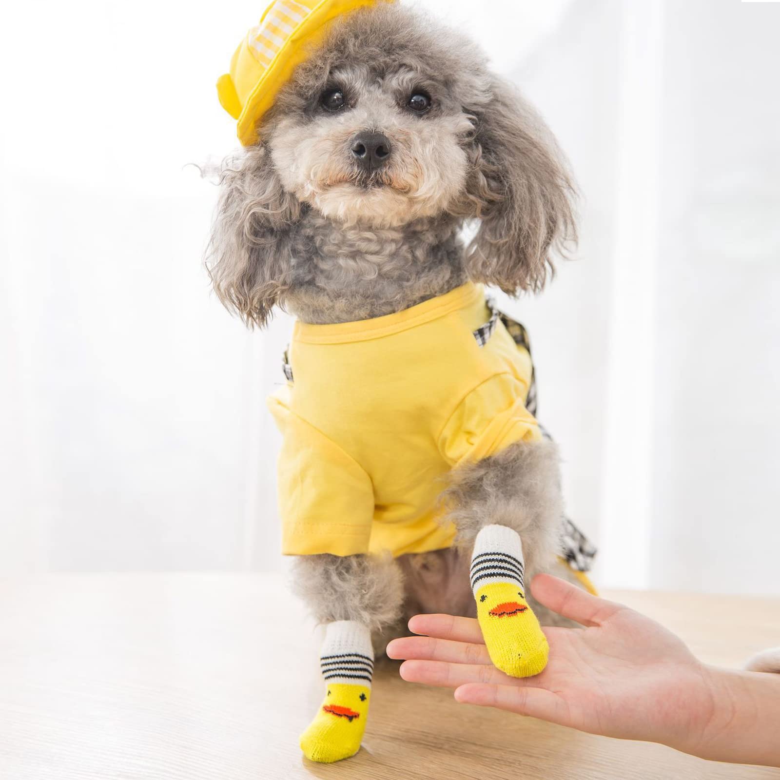 Saintrygo 9 cm by 4.7 cm socks sized for small to medium dogs.
