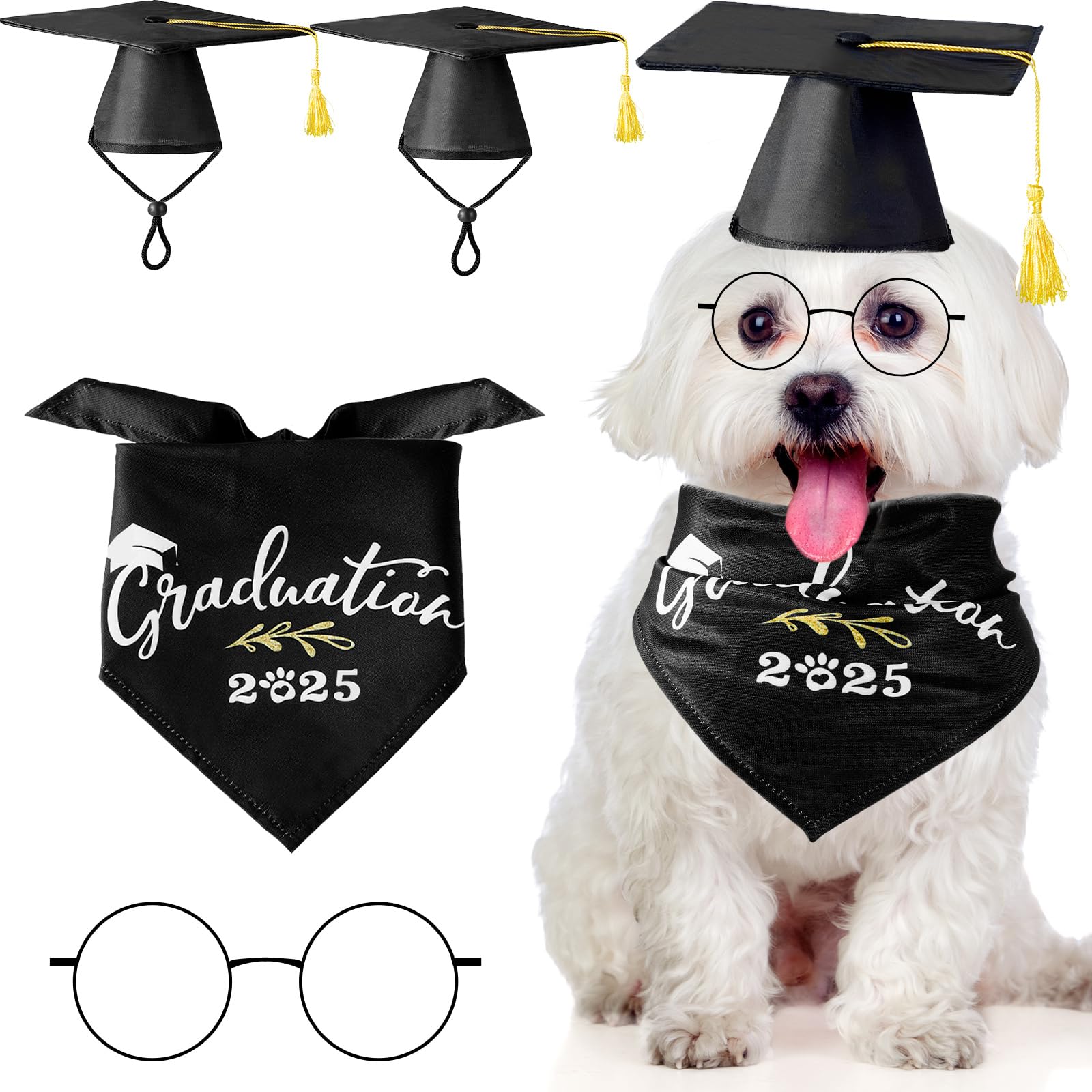 Saintrygo graduation cap with yellow tassel for adorable pet graduation photos.