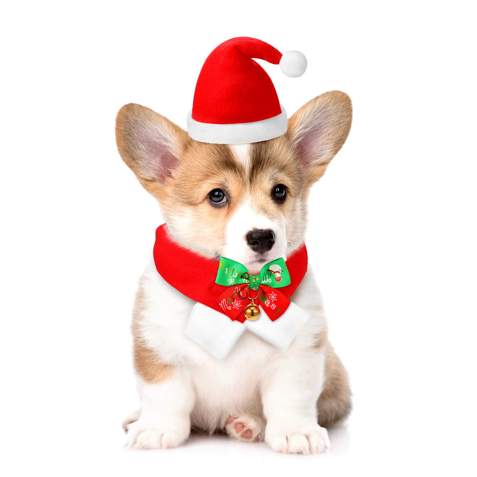 Saintrygo pet Christmas photoshoot-ready outfit for memorable moments.