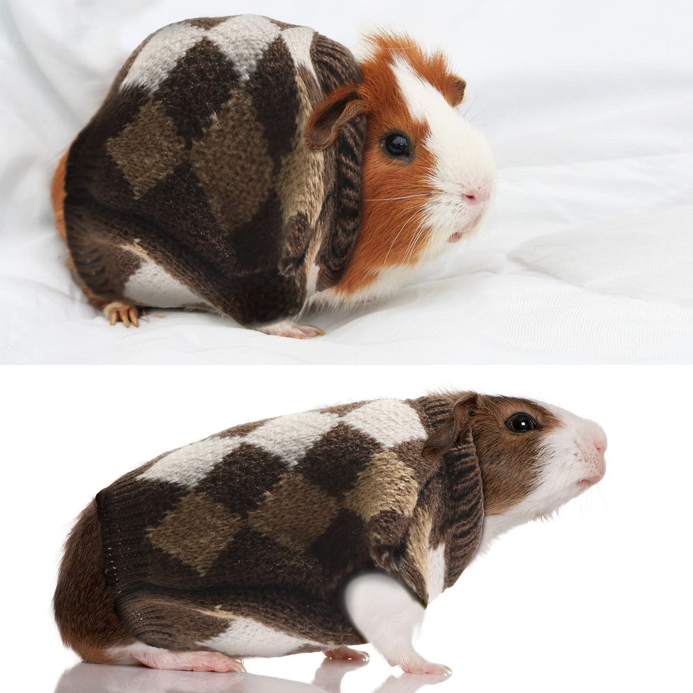 Saintrygo four-piece pet costume packaging ready for gifting