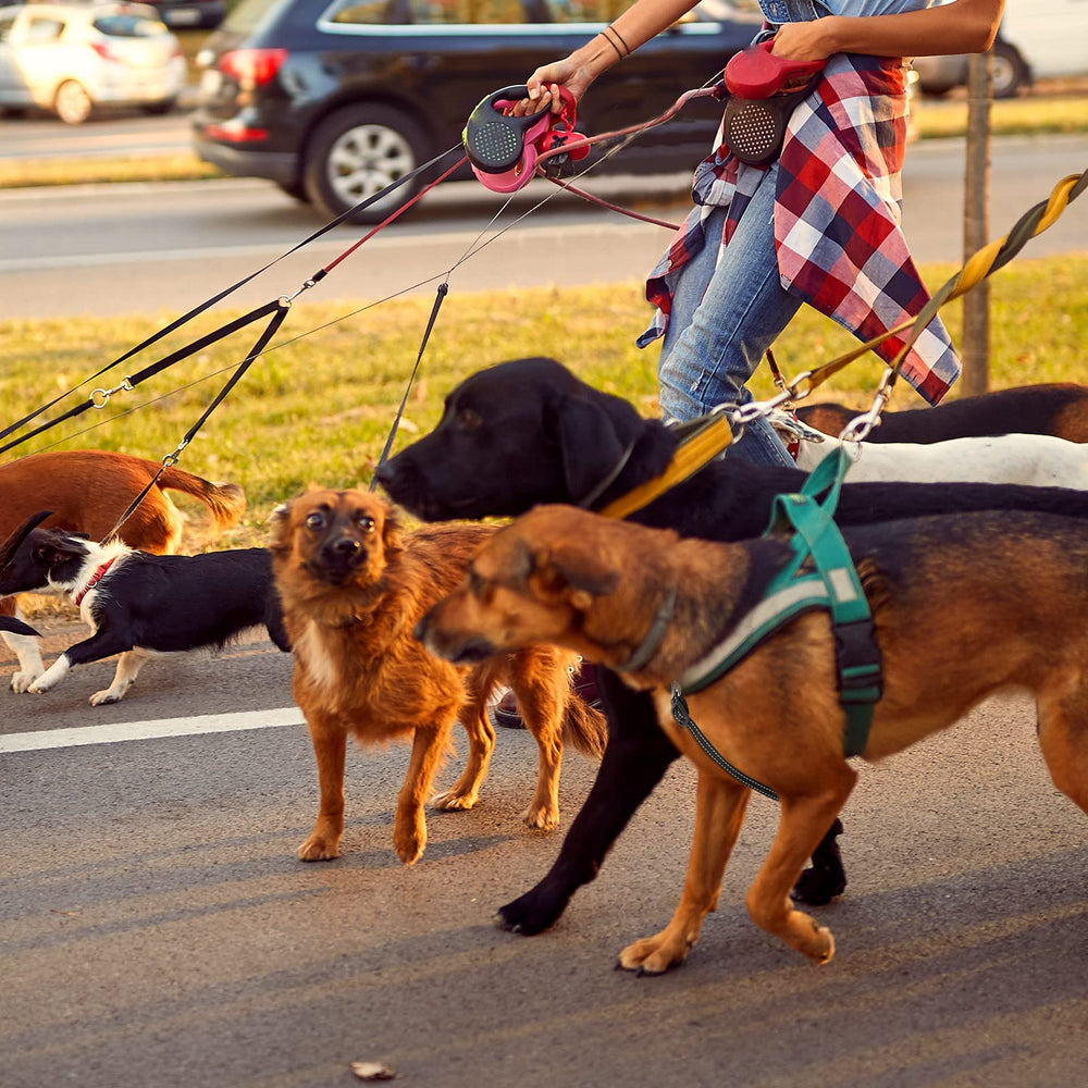 Saintrygo safety clips adjustable-7to8in length offers flexible pairing.