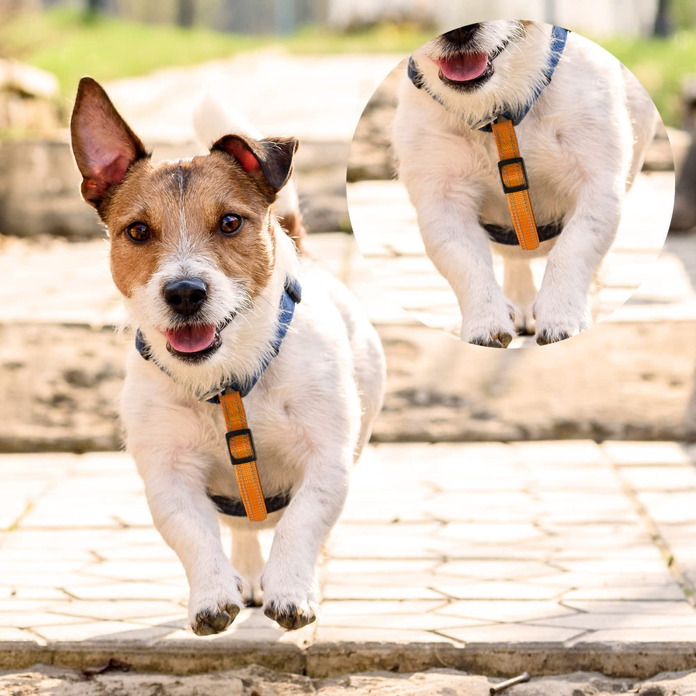 Saintrygo safety clips stainless-steel-hook-close-up shows durable, rust-resistant hardware.