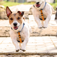 Saintrygo safety clips stainless-steel-hook-close-up shows durable, rust-resistant hardware.