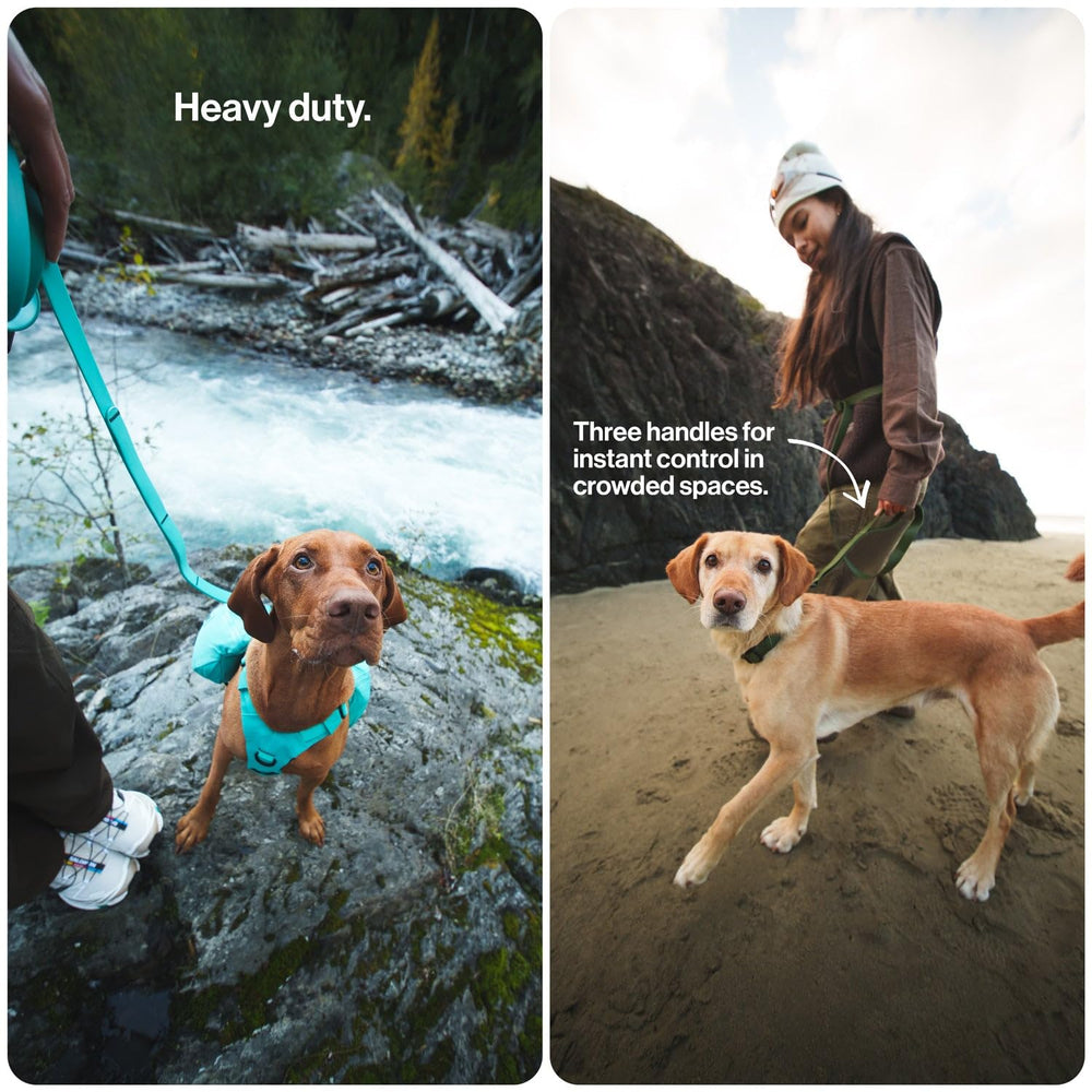 SÄKER Kelp leash hands-free waist option for active hands-on walks