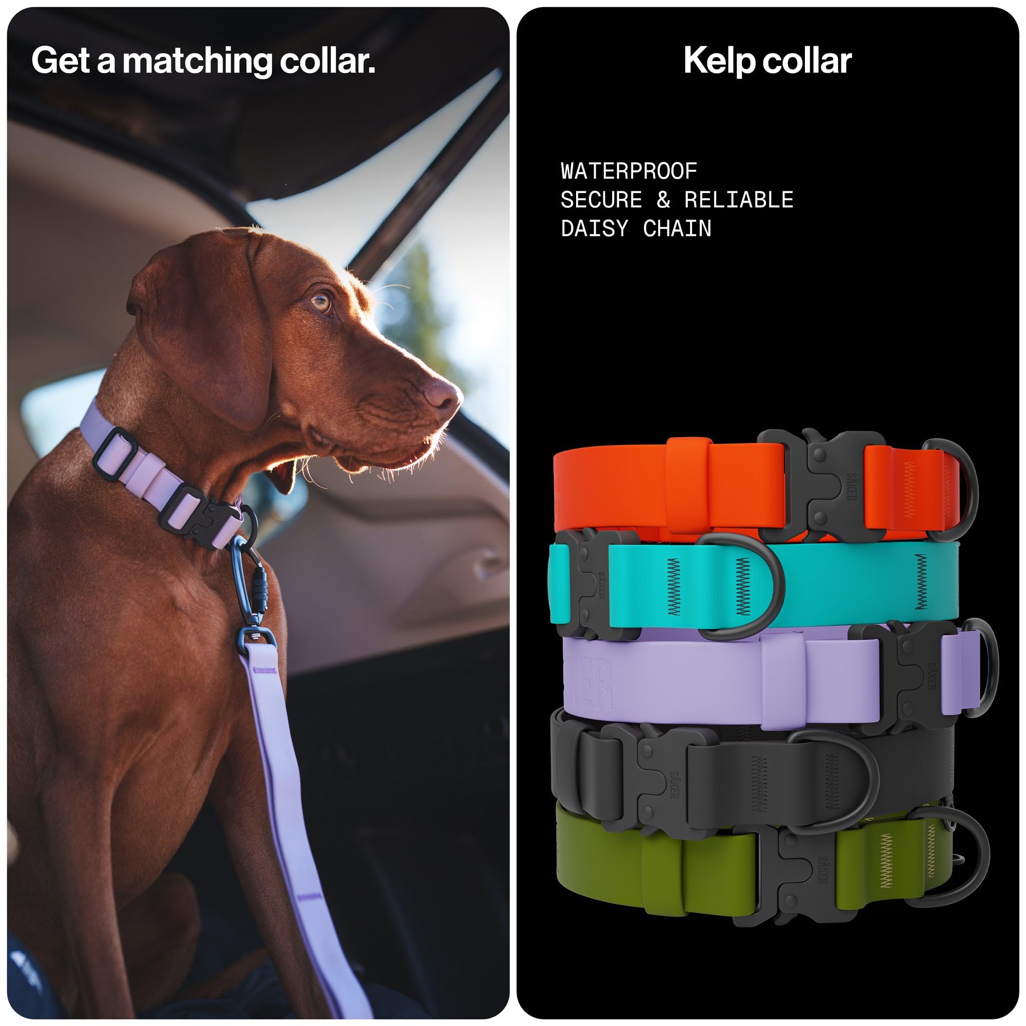 SÄKER Kelp leash outdoor-ready design withstands rain and mud on hikes