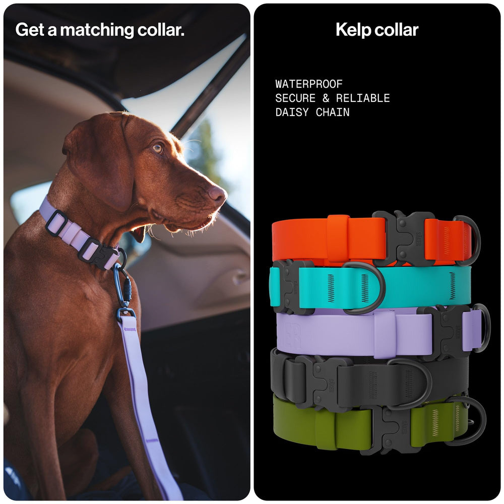 SÄKER Kelp leash outdoor-ready design withstands rain and mud on hikes