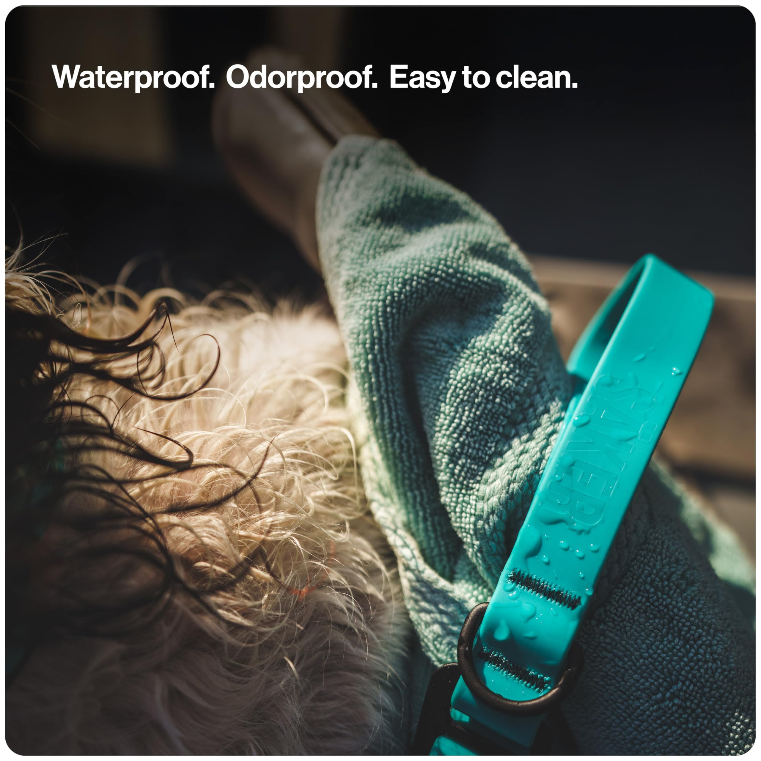 SÄKER Kelp leash twist-lock carabiner in action for secure attachment during walks