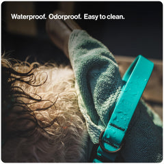 SÄKER Kelp leash twist-lock carabiner in action for secure attachment during walks