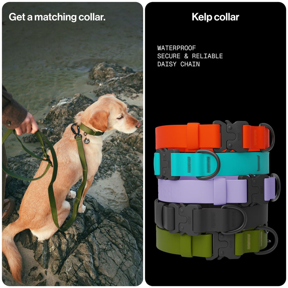 Säker Kelp leash stays dry and odor-free during wet-weather outings