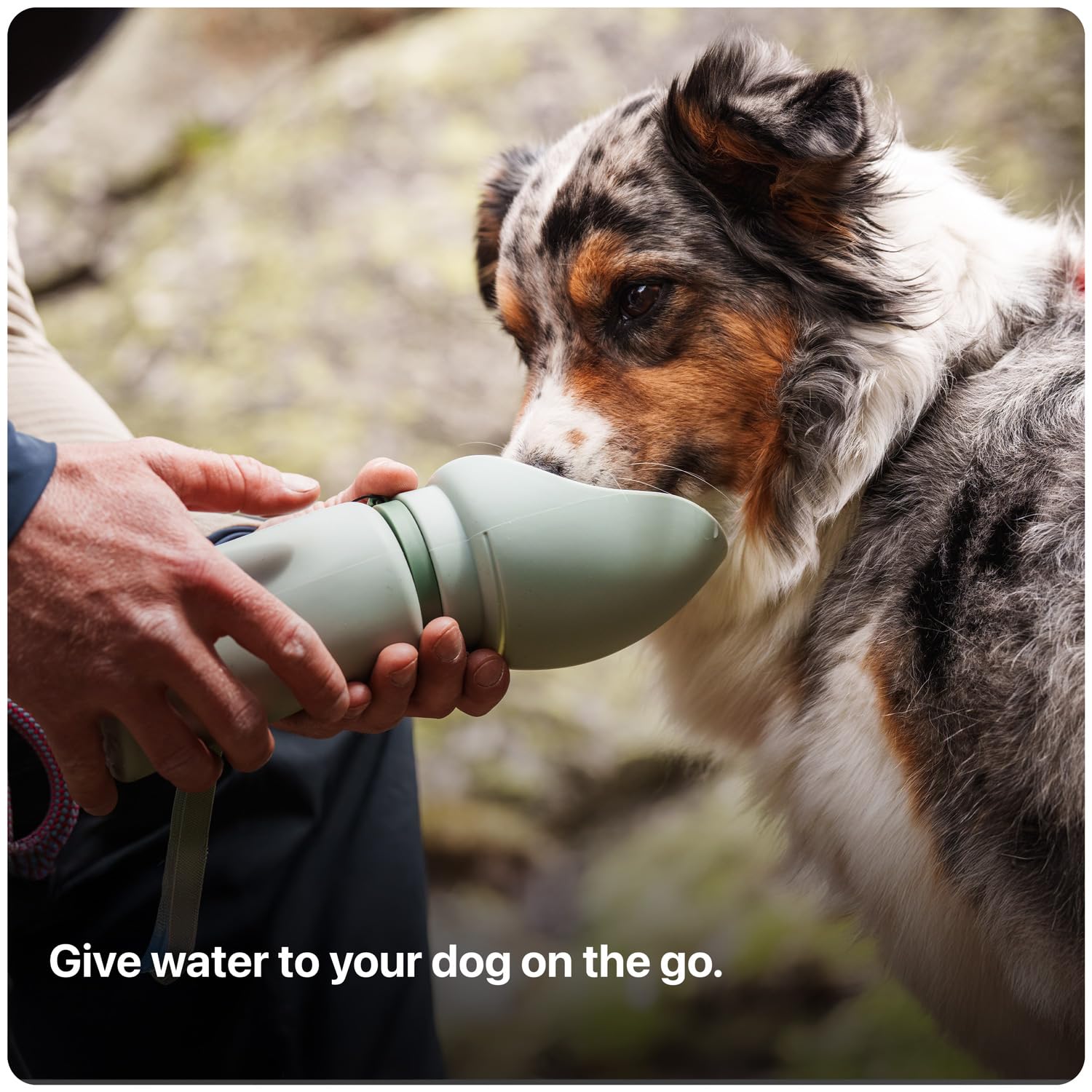SÄKER Slurpy Sack forming a portable dog water bowl for on-the-go hydration