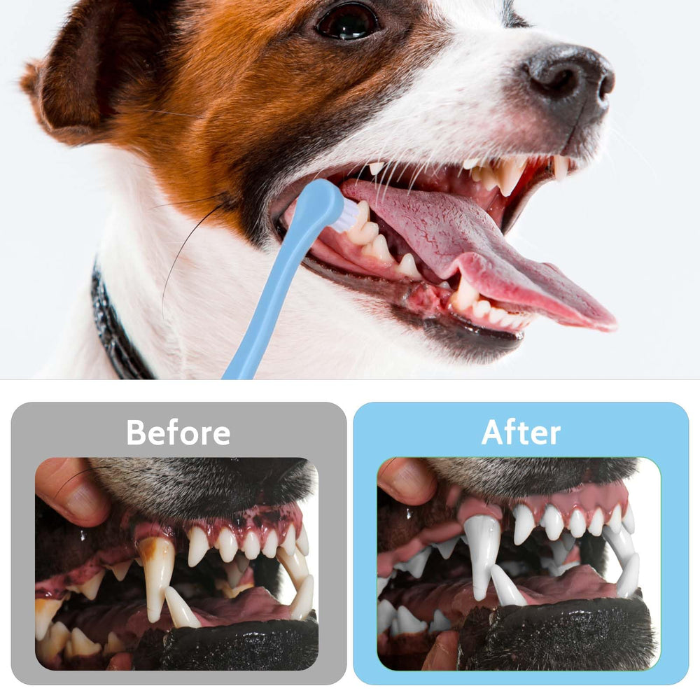 Salbsever bristles stay in place, helping hold toothpaste for mess-free brushing
