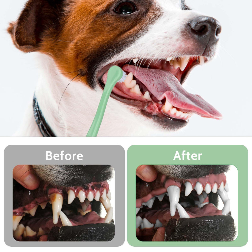 Salbsever white cat-and-dog toothbrush – versatile tool for tiny mouths