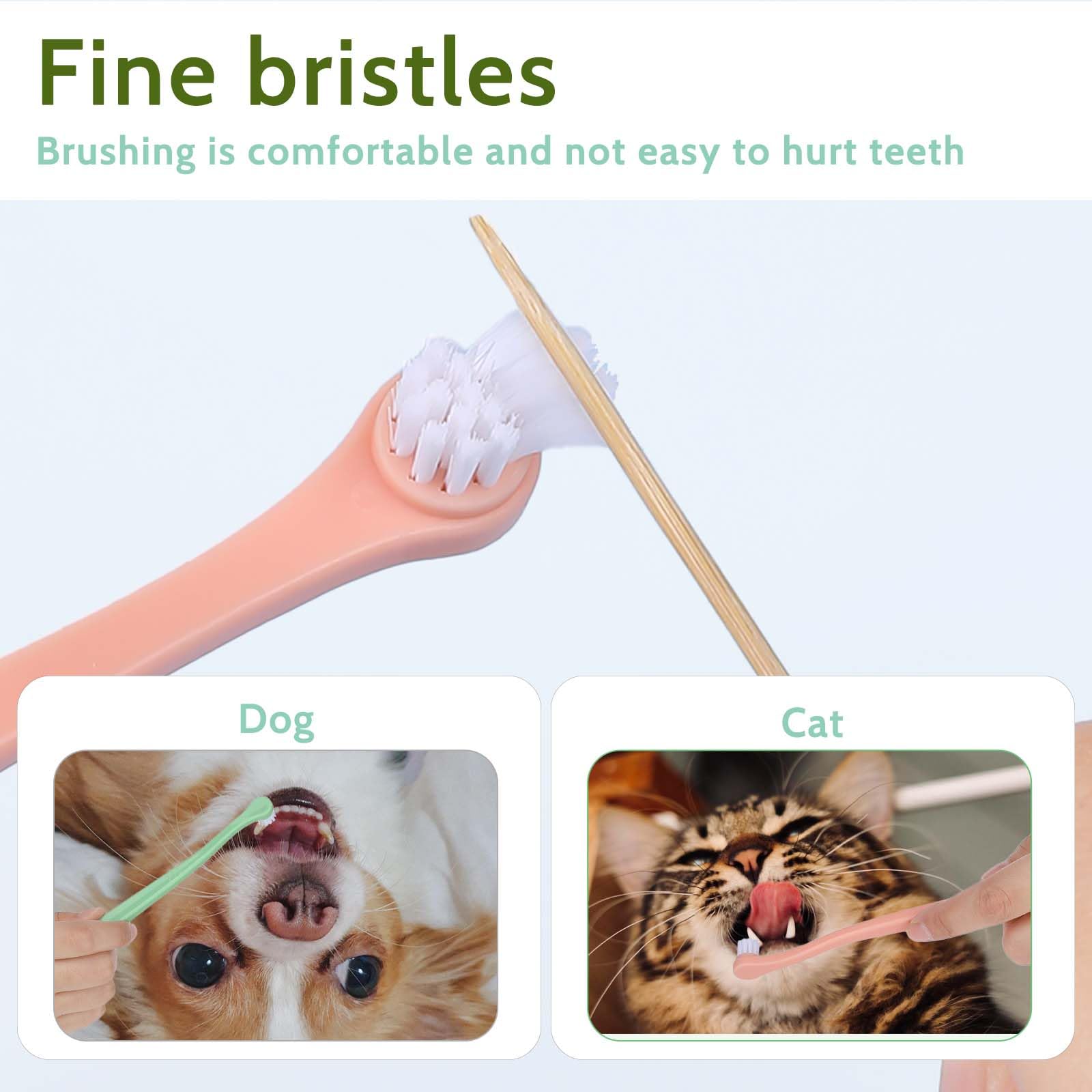 Salbsever travel-friendly packaging – ideal for on-the-go pet dental care